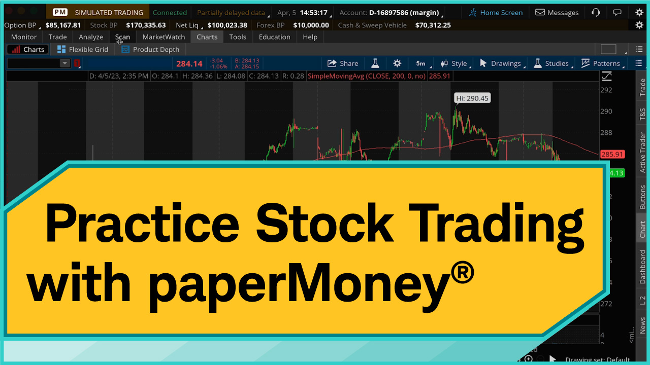 Practice Stock Trading with paperMoney preview