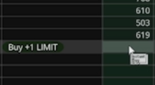 Active Trader Part 4 – Limit and Stop Orders preview